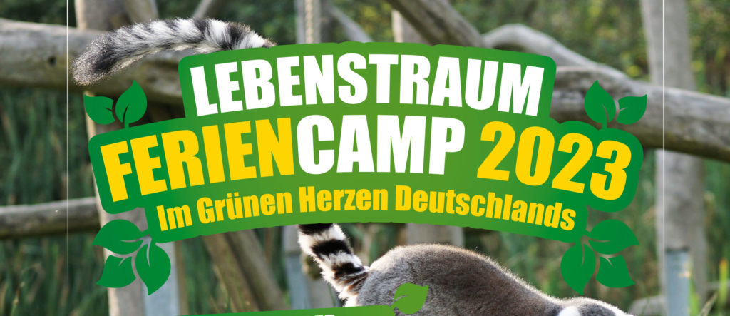 Lebenstraum  Feriencamp 2023 – Im Grünen Herzen Deutschlands