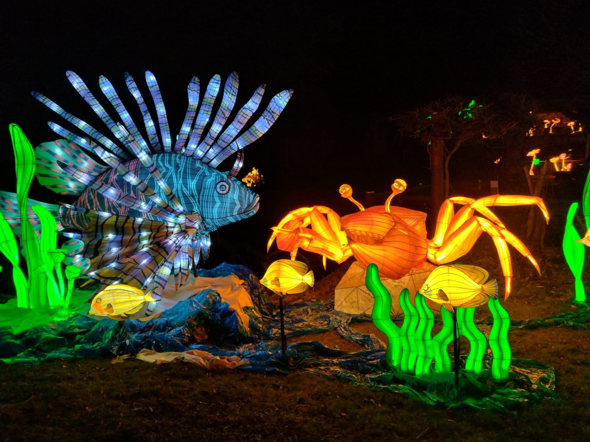 Ein Motiv der Ausstellung - Magische Lichterwelten - Bergzoo Halle 2024. Zu sehen ist eine Unterwasserlandschaft mit Fisch, Krebs und Pflanzen.