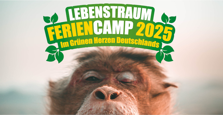 Lebenstraum Feriencamp 2025