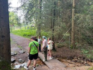 Kinder wandern im Wald